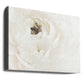 White Flower 02