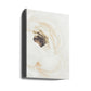 White Flower 01
