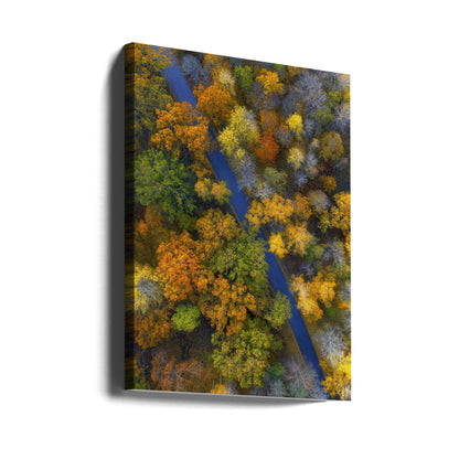 Autumn colors