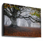 Autumn scenery