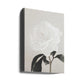 Peony 03