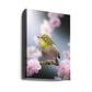 Japanese White-eye Blossoms