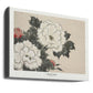 Flowers From Momoyogusa