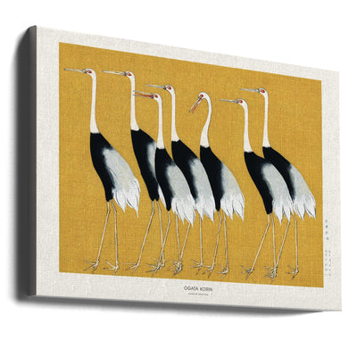 Japanese Red Crown Crane