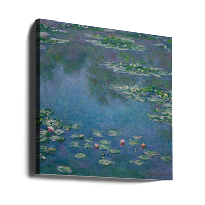 Water Lilies