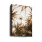 Abstract Beauty Of Spiky Plant