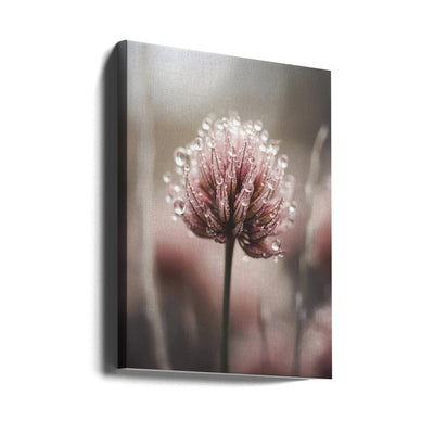 Pastel Nature Macro No 4