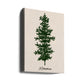 Oh Tannebaum (green)