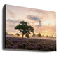 The tree on the heath.