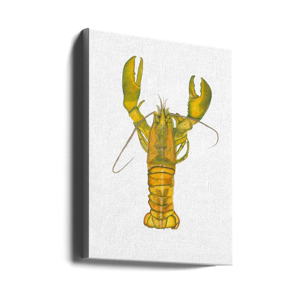 Lobster