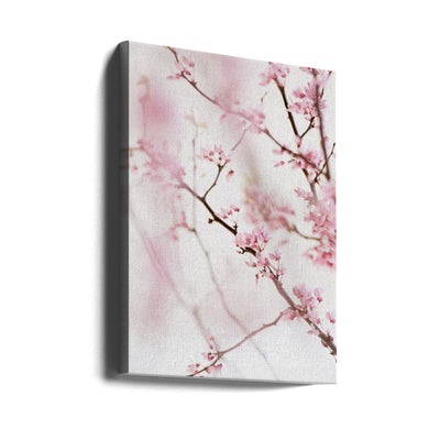 Cherry Blossom No.1