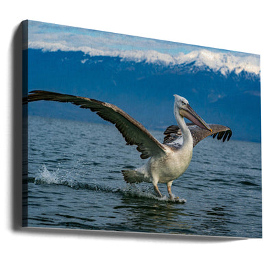 Crouching tiger, hidden dragon