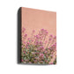 Sommerblomster