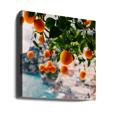 Amalfi Coast Oranges