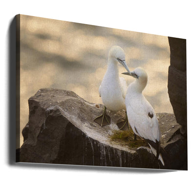 Love at The End of the Earth