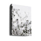 White Blossom Branches