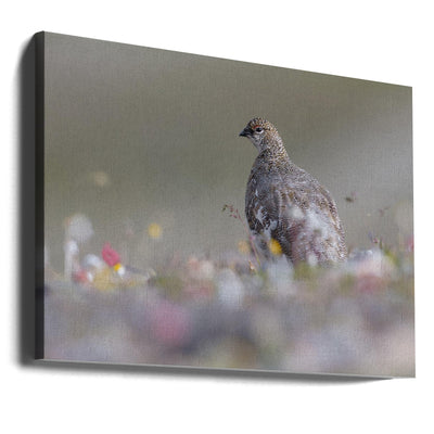 Rype - plakat - poster