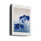 Iris Flowers