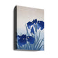 Iris Flowers