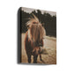 Pony with a Shaggy Mane