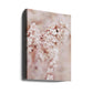 Dreamy Cherry Blossoms