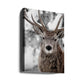 Winter Stag