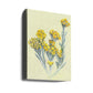Yellow Wildflowers