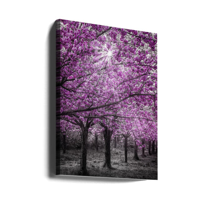 Magical Cherry Blossom Forest