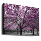 Vibrant Cherry Blossom Path