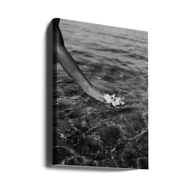 Ocean&#039;s Tender Touch