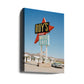 Mojave Desert California IV on Film
