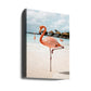 Pink Flamingo