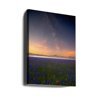 Night flowers