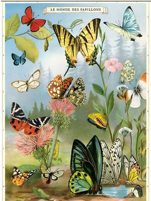 Le Monde Des Papillons - Sommerfugler