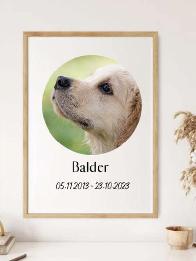 Lag ditt eget minnebilde til kjæledyr