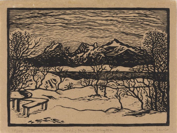 Børvasstindene, Bodø - John Savio