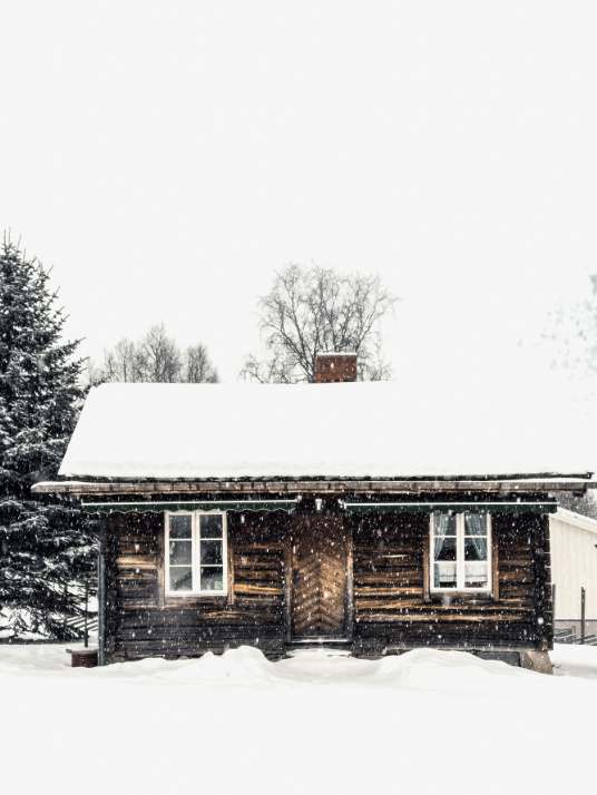 Cozy poster of winter cabin