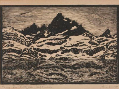 Fra Trollfjord, Raftsund - John Savio