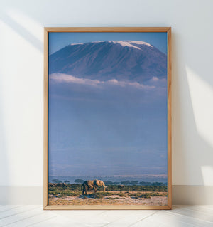 Kilimanjaro and the quiet sentinels