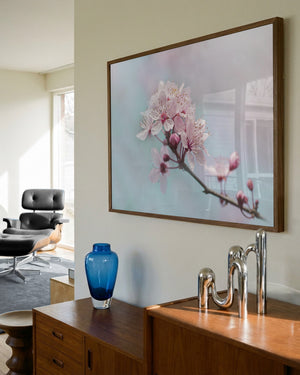 Pink Cherry Blossoms