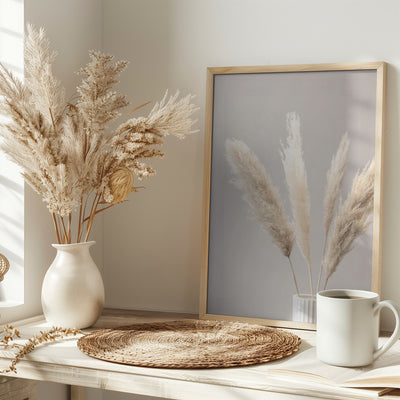 Pampas Grass Grey 05