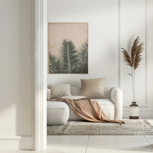 Palm leaves and wall_1