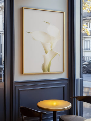 White Calla Lily No. 3