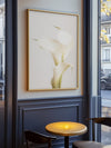 White Calla Lily No 3