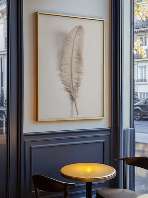 Feather_002