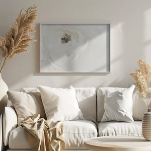 White Flower 02