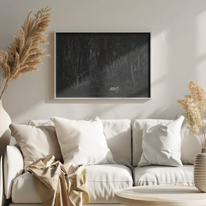 Walking in a dead forest