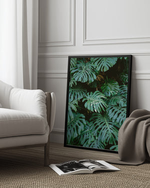 Monstera wall in Lisbon