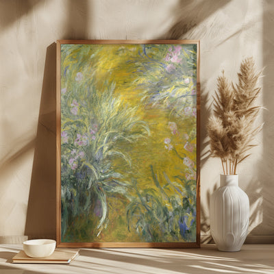 The Path through the Irises