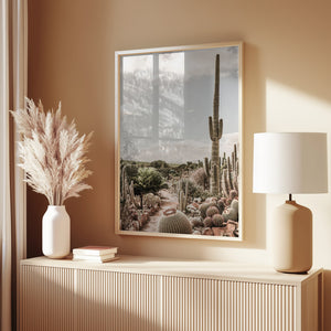 Cactus Farm